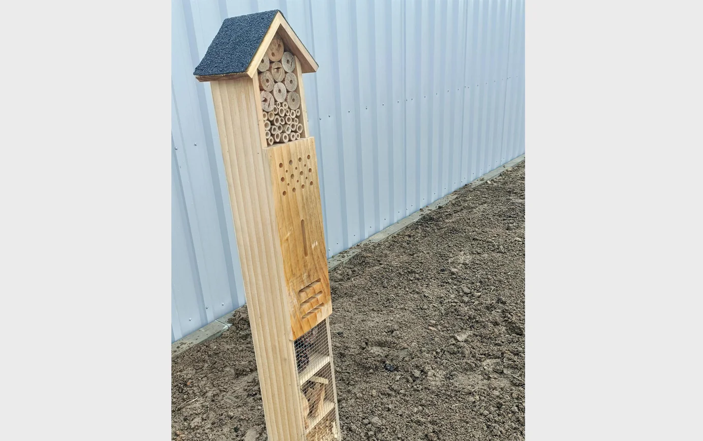 bee house